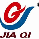 广东佳奇科技教育股份有限公司