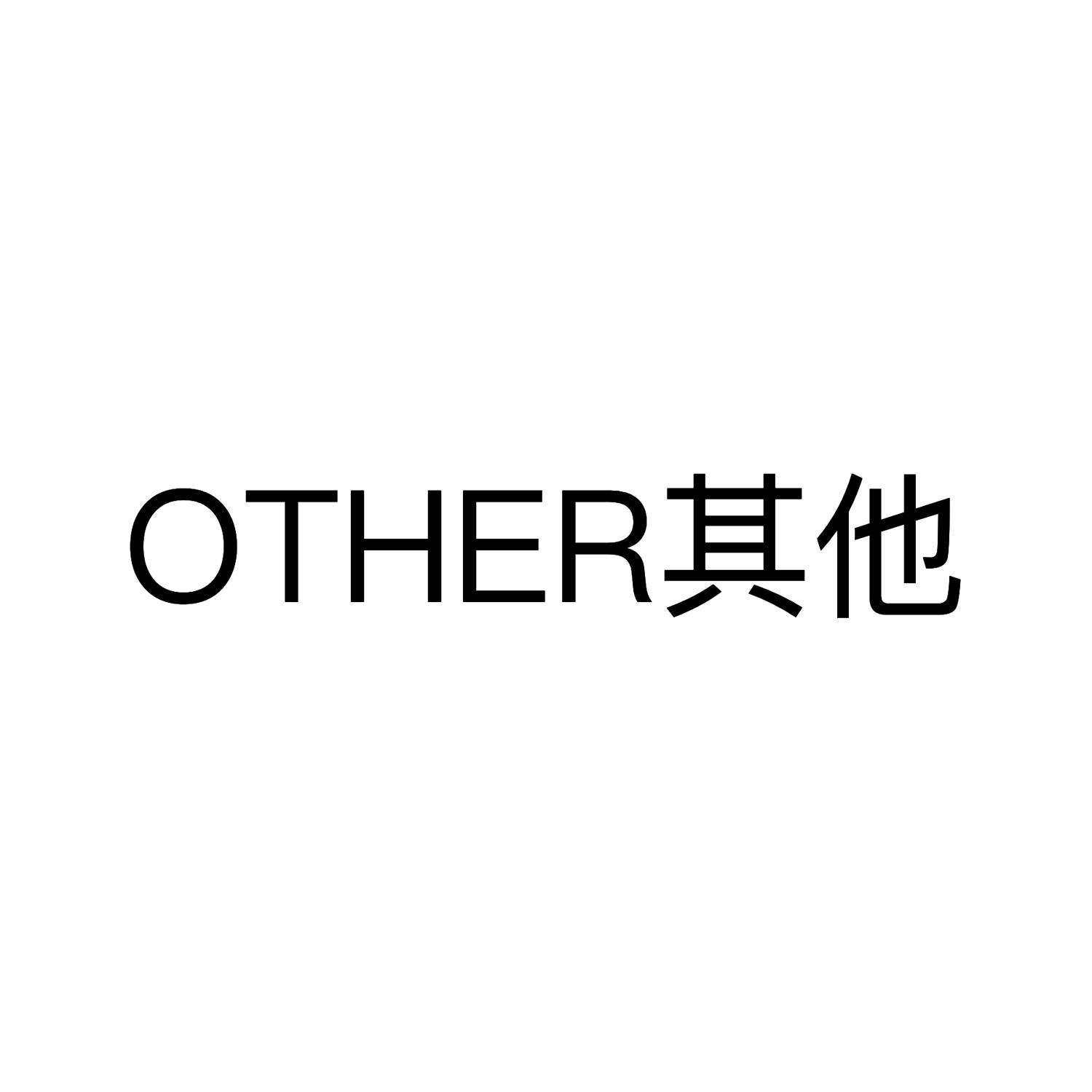  em>other /em> em>其他 /em>