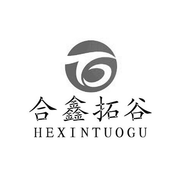 拓谷logo图片