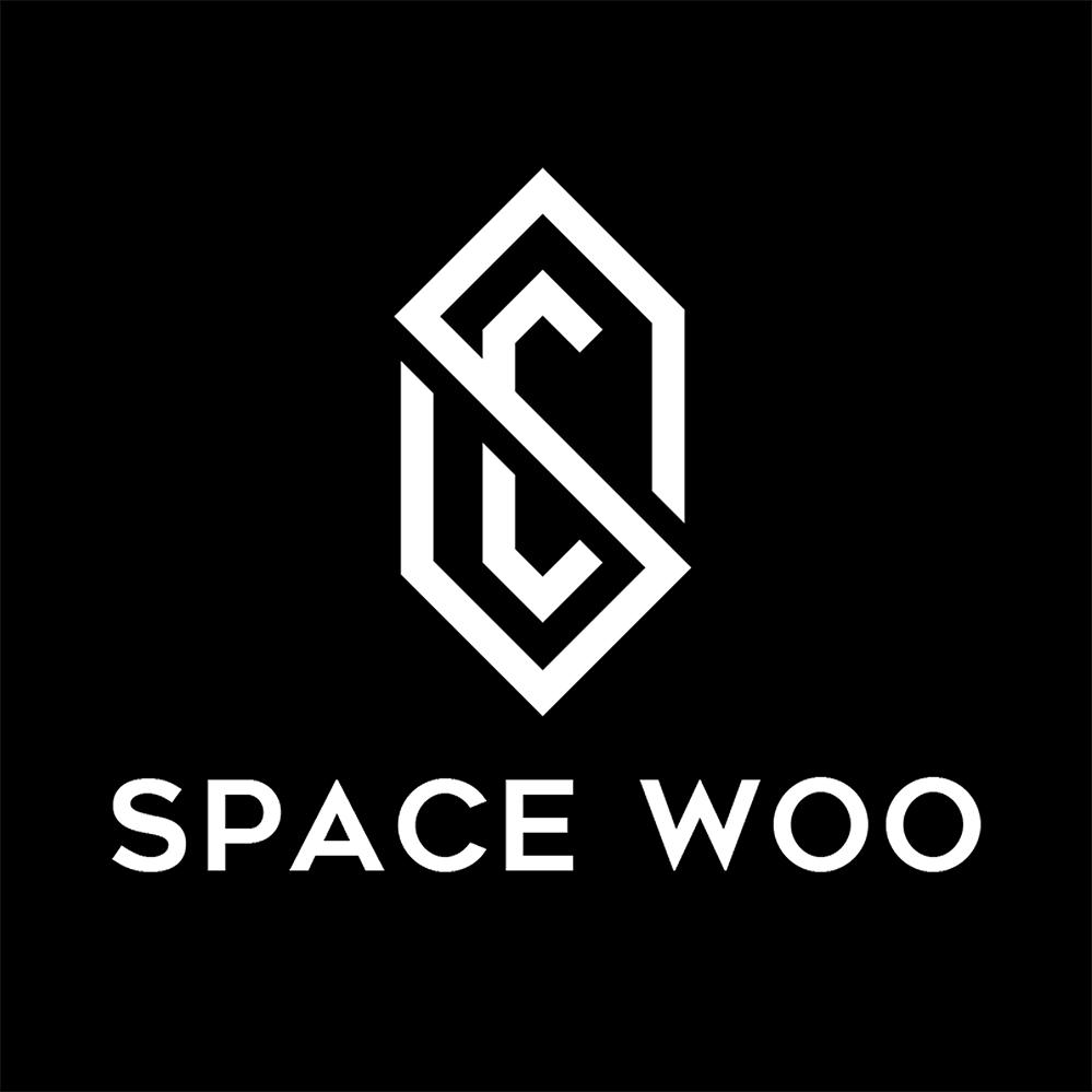 spacelogo设计图片