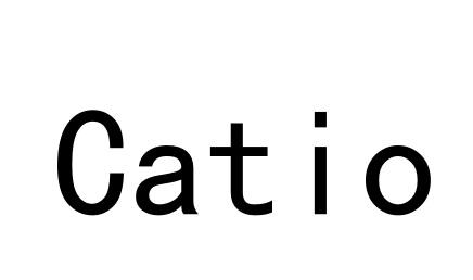  em>catio /em>
