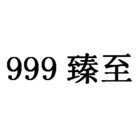 em>999/em 臻至