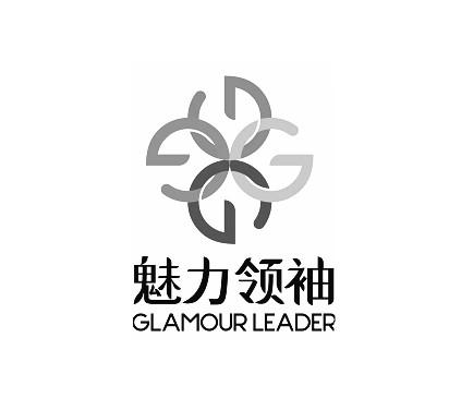 魅力 em>领袖 /em>