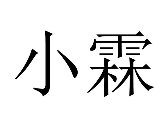 em>小/em em>霖/em>