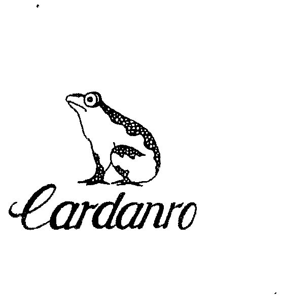 商标详情申请人:卡丹路(意大利)有限公司 办理/代理机构:广东省商标