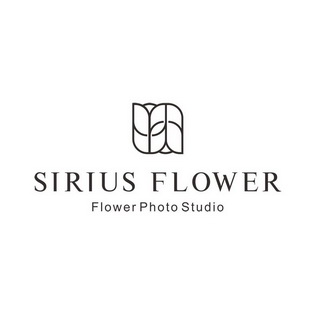  em>sirius /em>  em>flower /em>  em>flower /em> photo studio