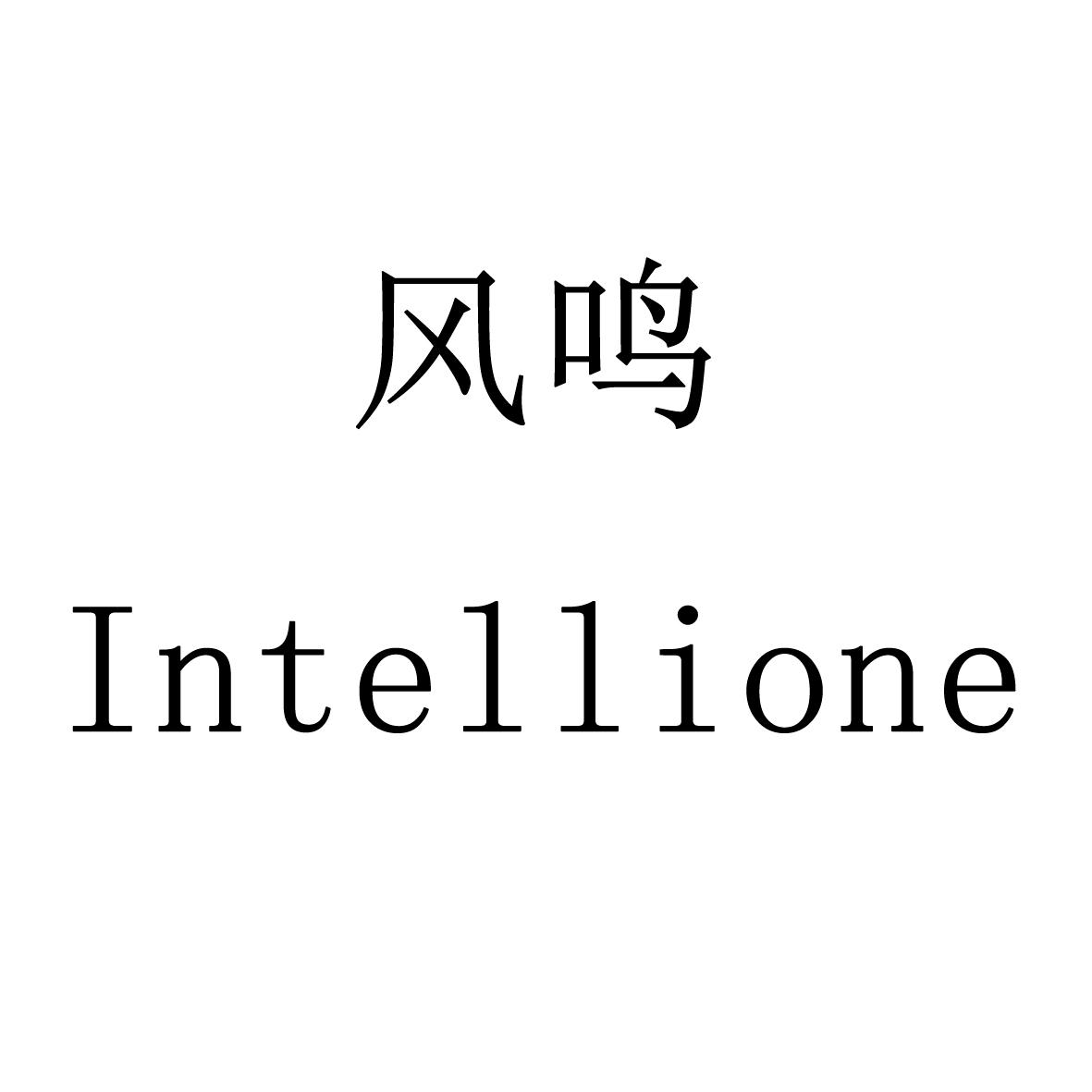 风鸣intellione