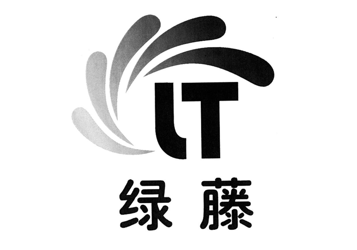  em>绿 /em> em>藤 /em>  em>lt /em>