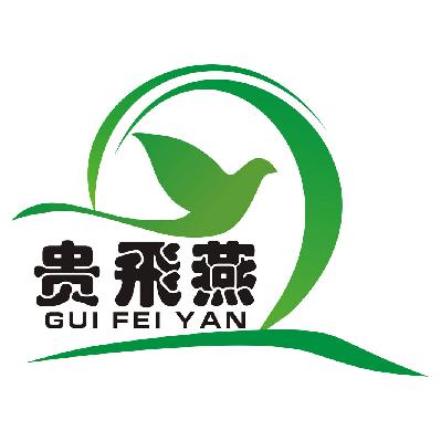 贵飞燕