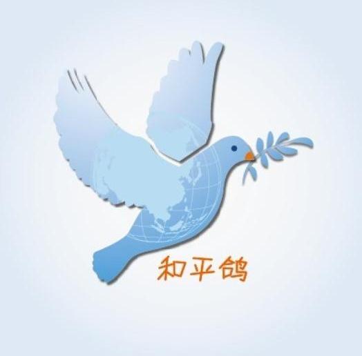 和平鸽