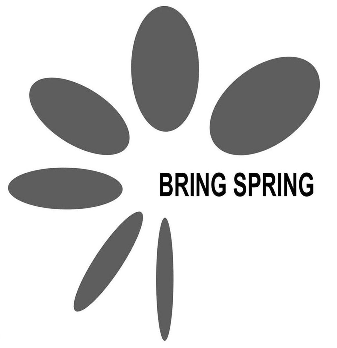 embring/em emspring/em