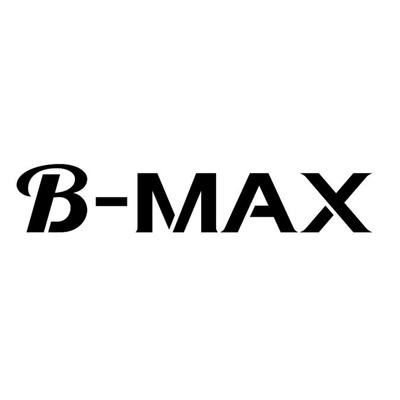 b max 商标 爱企查