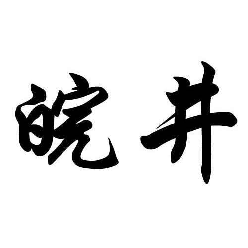  em>皖 /em> em>井 /em>