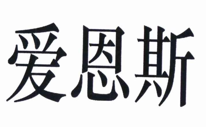 em>爱恩斯/em>