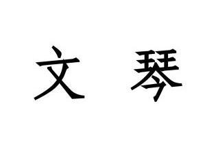 em>文琴/em>