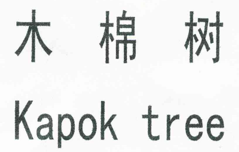 kapoktree图片