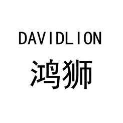 鸿狮david em>lion/em>