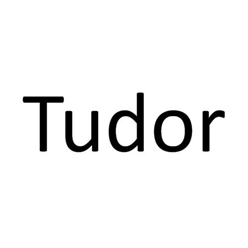 tudor - 商标 - 爱企查