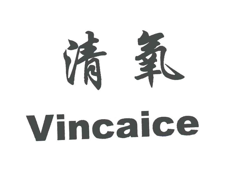 清氧vincaice 企业商标大全 商标信息查询 爱企查