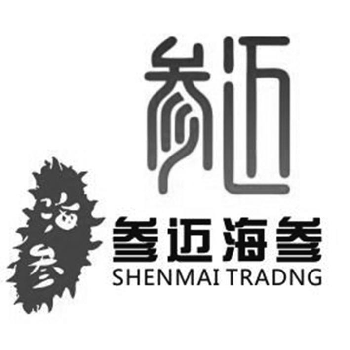参迈 em>海参 /em>  em>参迈海参 /em> shenmai tradng