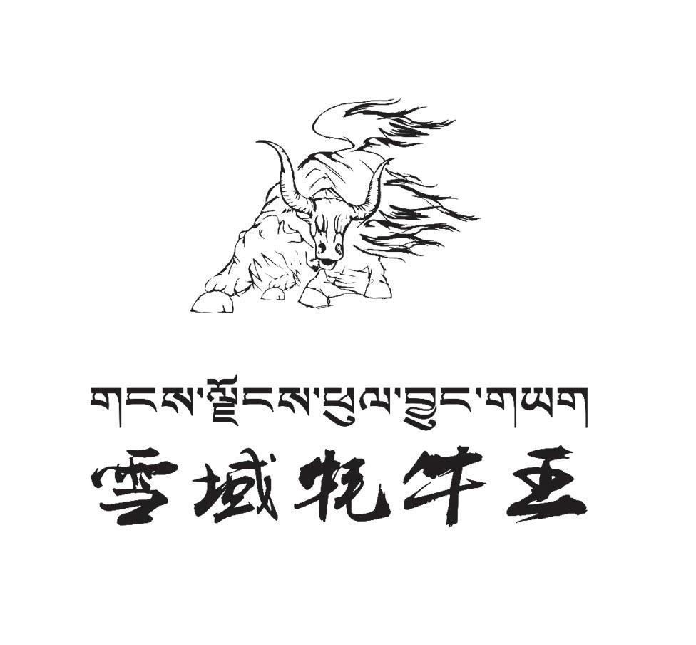 雪域牦牛王 商标已注册