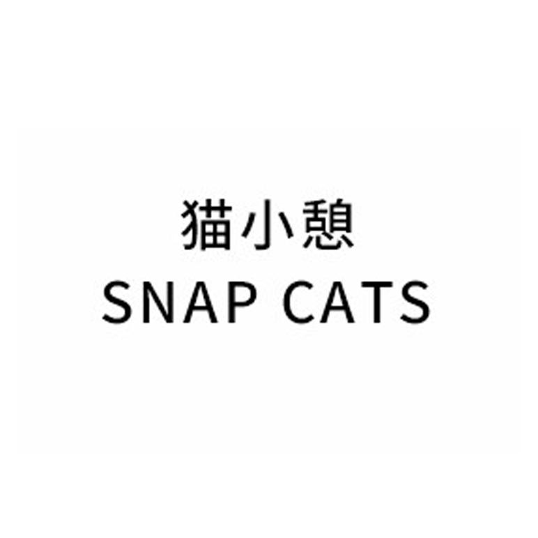  em>猫 /em> em>小憩 /em> snap cats