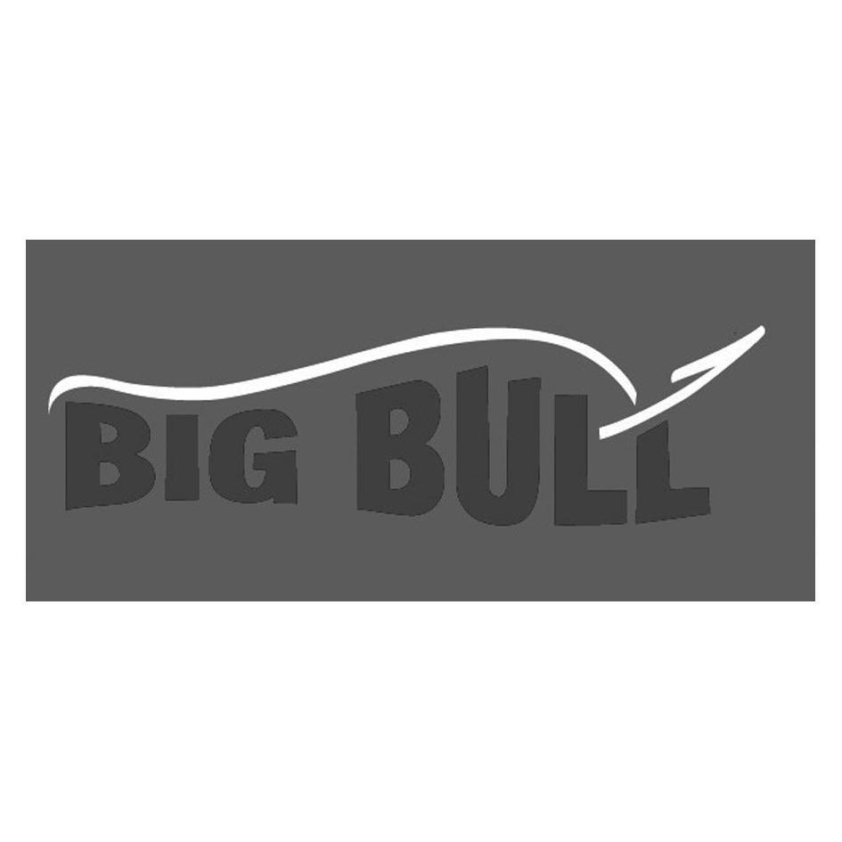  em>big /em>  em>bull /em>