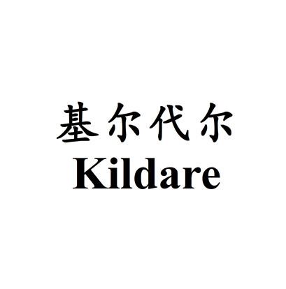 基尔代尔 kildare                          