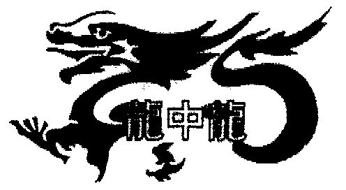 龙中龙