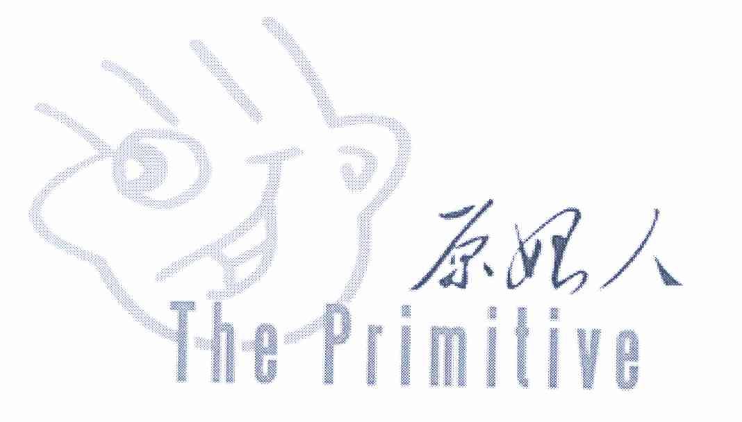 primitive原始人_企业商标大全_商标信息查询_爱企查