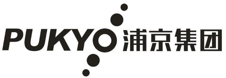  em>浦 /em> em>京 /em> em>集团 /em>  em>pukyo /em>