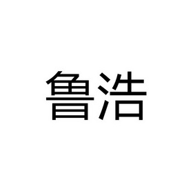 em>鲁浩/em>