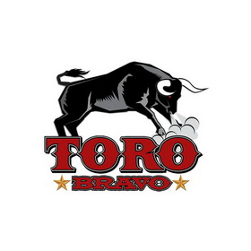 toro bravo