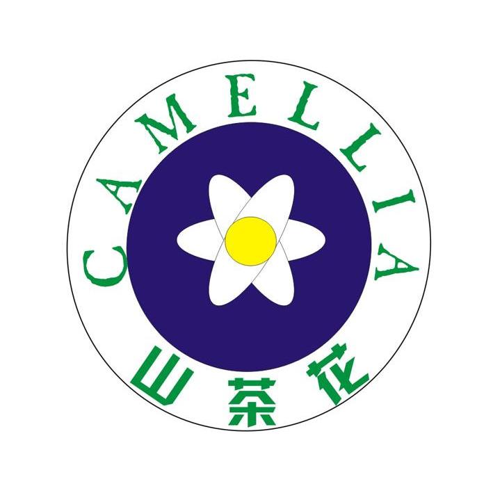  em>山茶 /em>花  em>camellia /em>