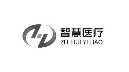  em>智慧 /em> em>医疗 /em>