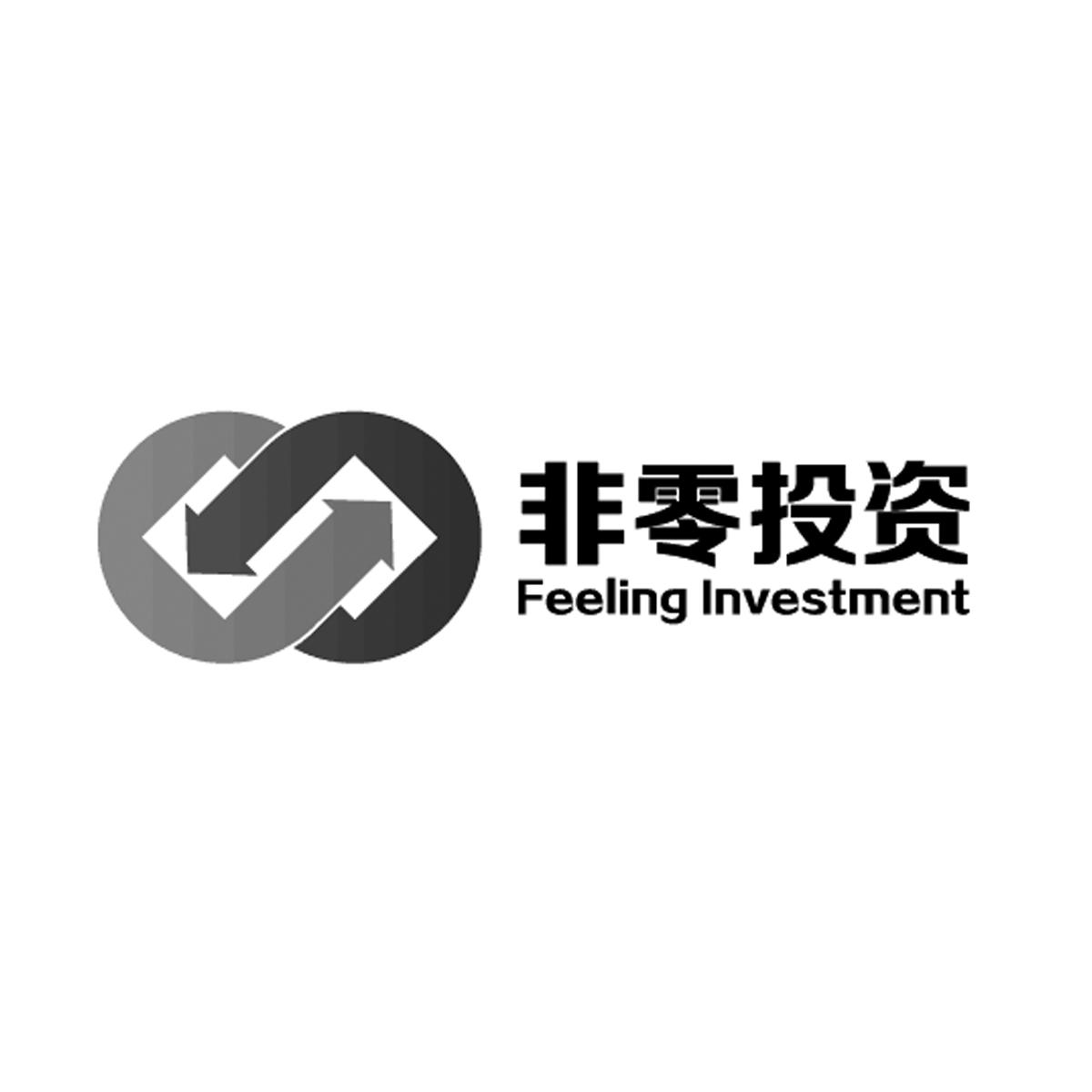 非零投资 feeling investment