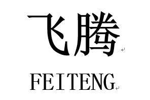  em>飞腾 /em>