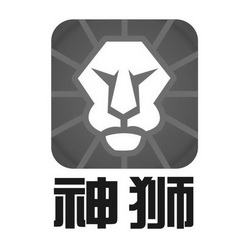 神狮 商标注册申请注册公告排版完成