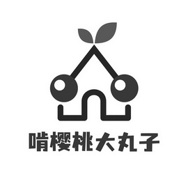 啃樱桃大丸子 - 商标 - 爱企查