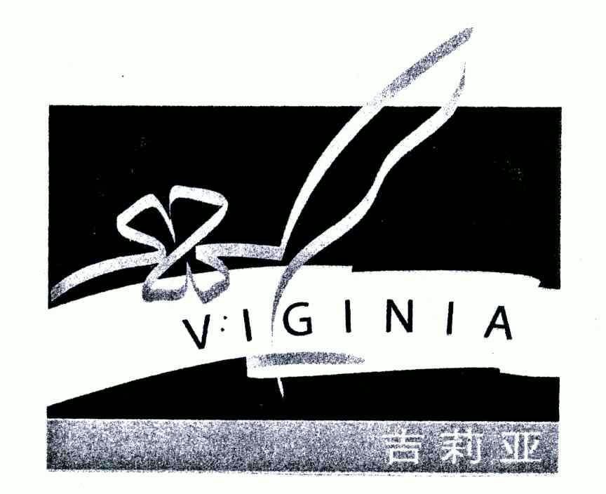 吉莉亚;viginia商标注册申请