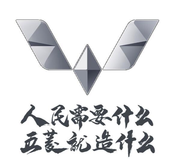 人民需要 em>什么 /em> 五菱就造 em>什么 /em>