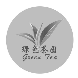  em>绿色 /em> em>茶园 /em>  em>green /em>  em>tea /em>