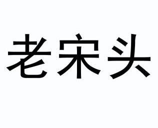 老宋头                                    