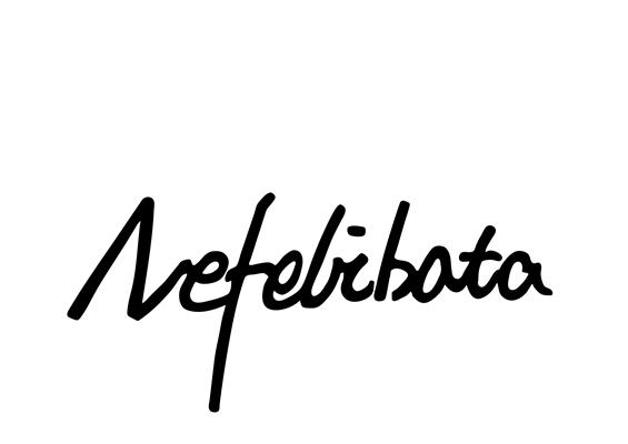 nefelibata商标注册申请申请/注册号:55121181申请日期