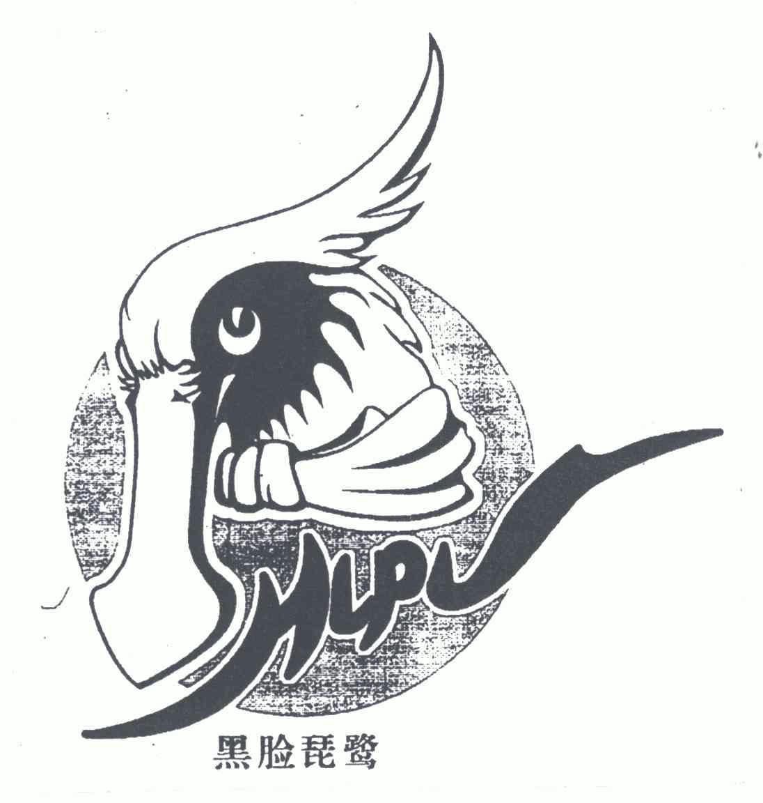  em>黑脸琵鹭 /em>; em>hl /em> em>pl /em>