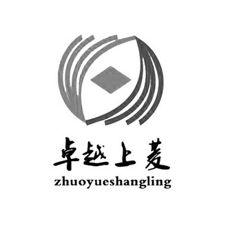  em>卓越 /em> em>上菱 /em>