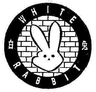 白兔 white rabbit                         