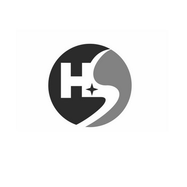 hs字母组合logo图片