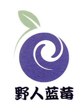 蓝莓品牌logo图片