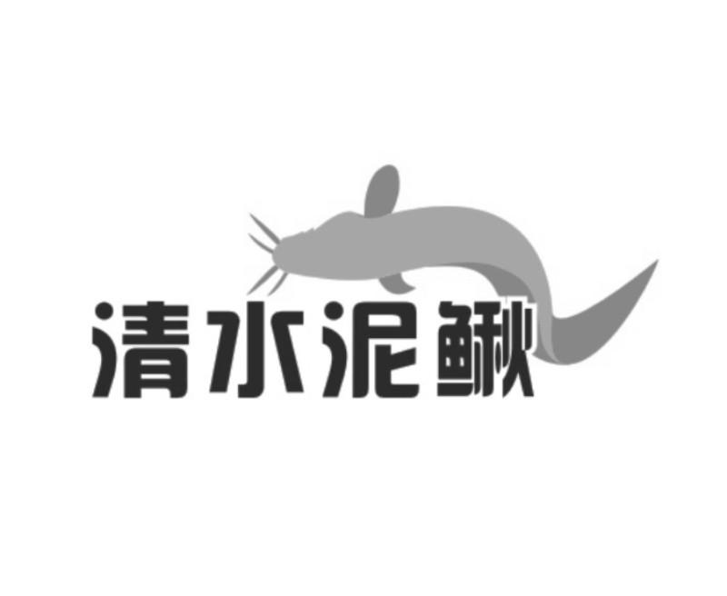  em>清水 /em> em>泥鳅 /em>